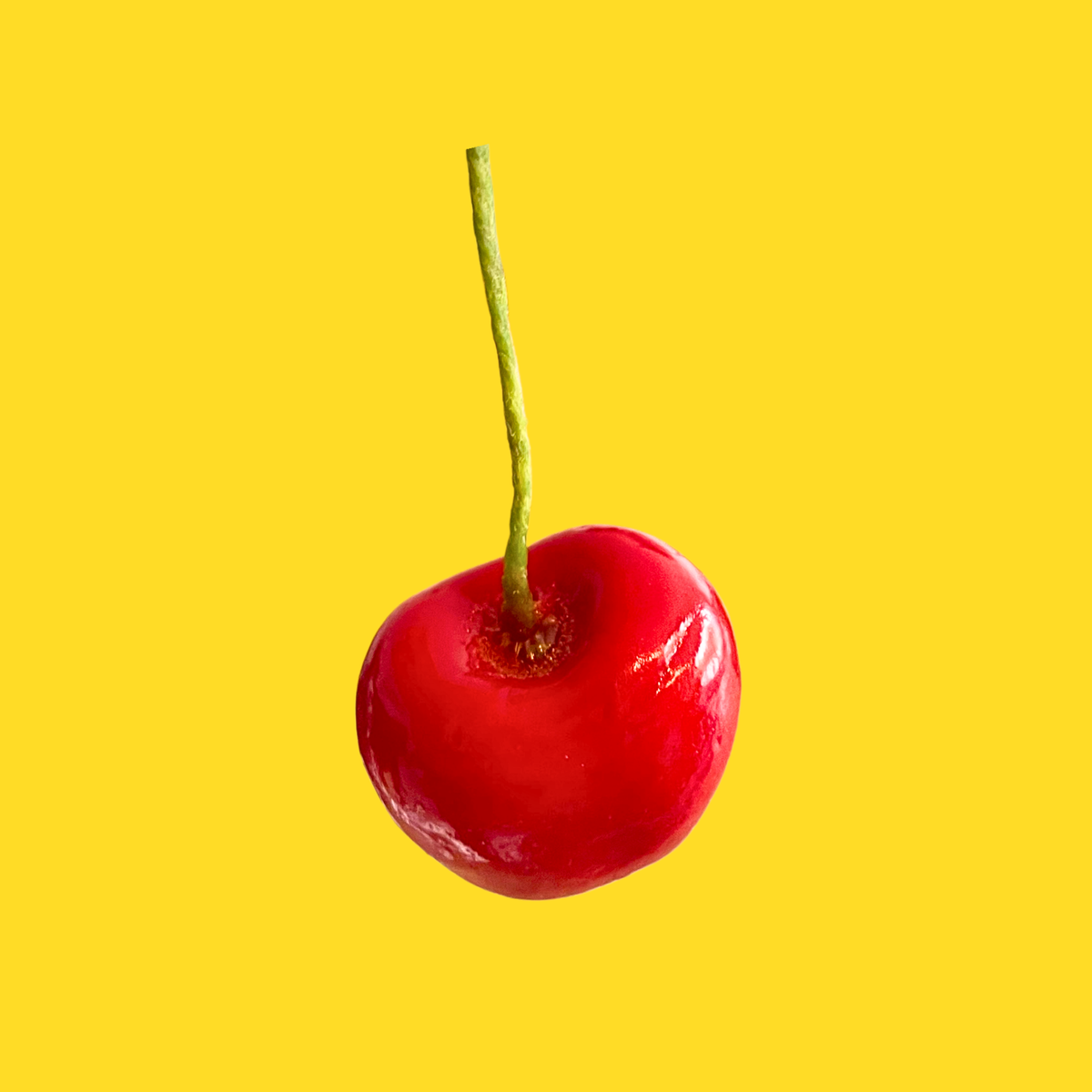 Ciliegie